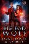 [The Rowan and Ash Chronicles 01] • Big Bad Wolf